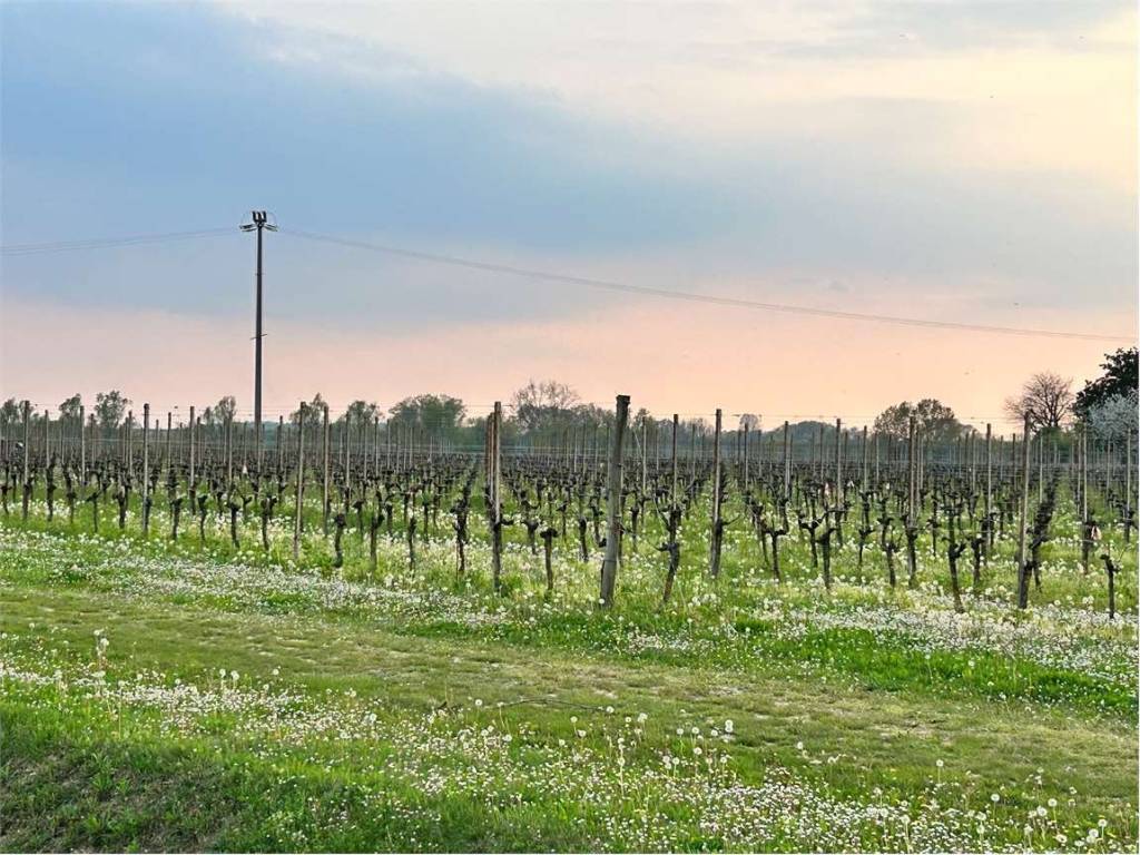Terreno a Cordignano in Via Roma, 1 - Foto 5