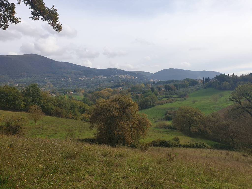 Terreno a Poggio catino in via preda - Foto 2