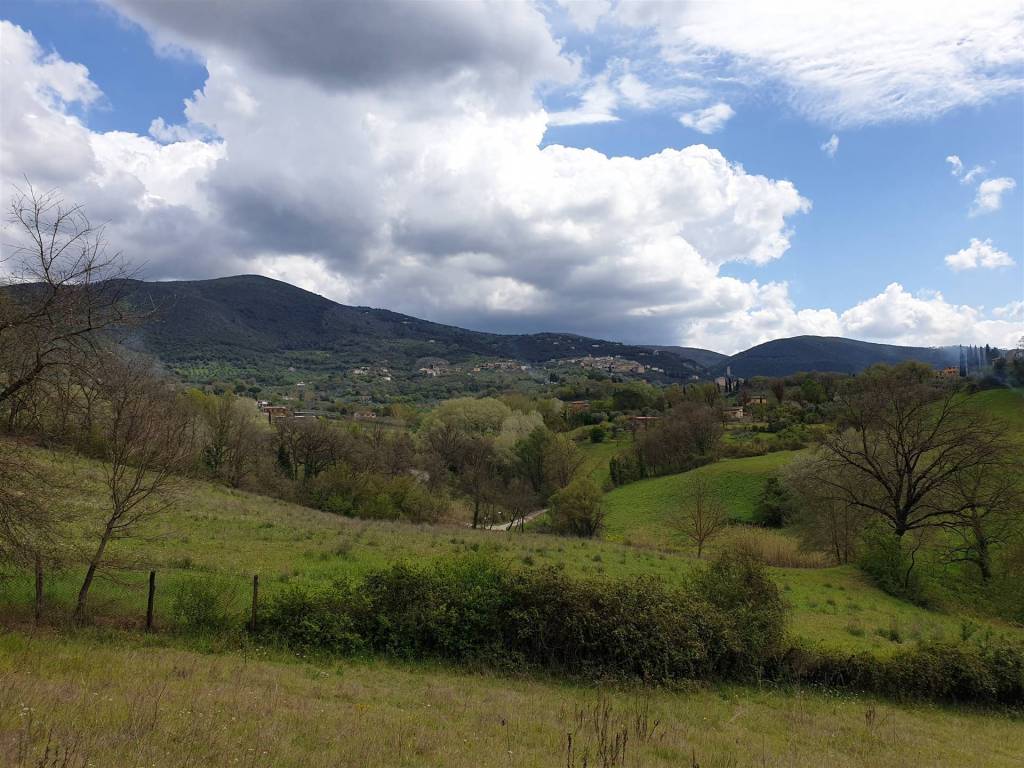 Terreno a Poggio catino in via preda - Foto 4