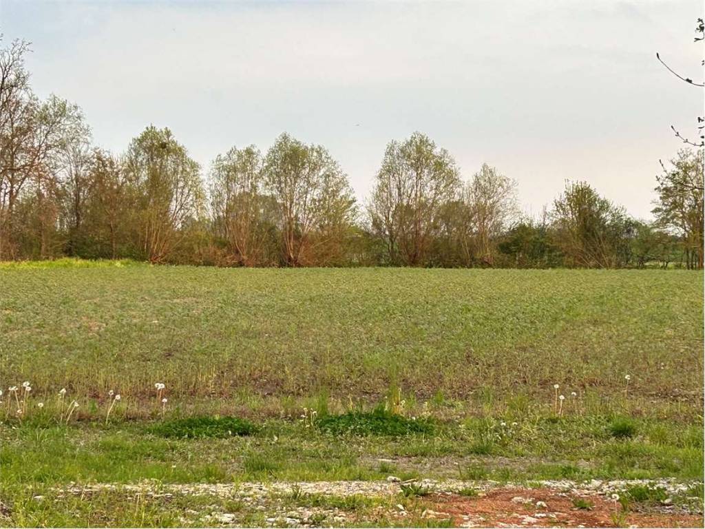 Terreno a Gaiarine - Foto 3