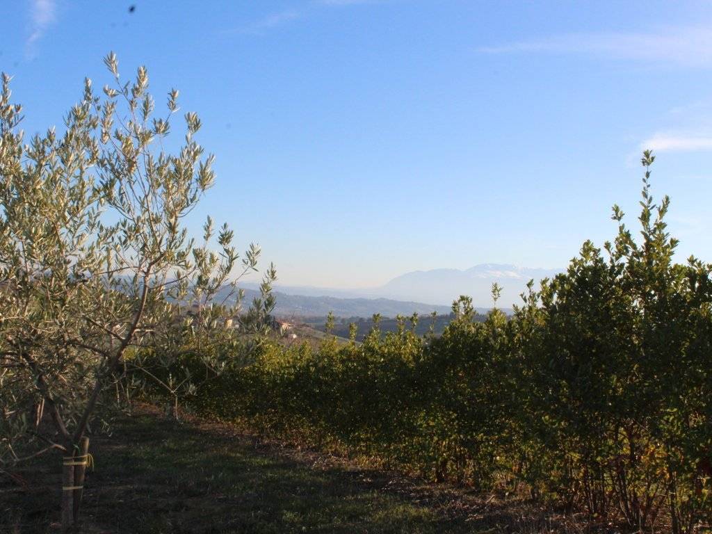 Terreno a Città sant'angelo in Strada Giardino, 33 - Foto 2