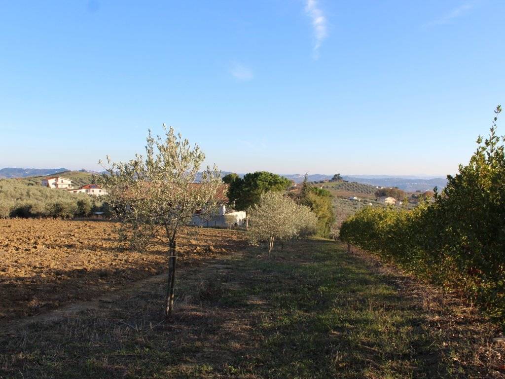 Terreno a Città sant'angelo in Strada Giardino, 33 - Foto 4
