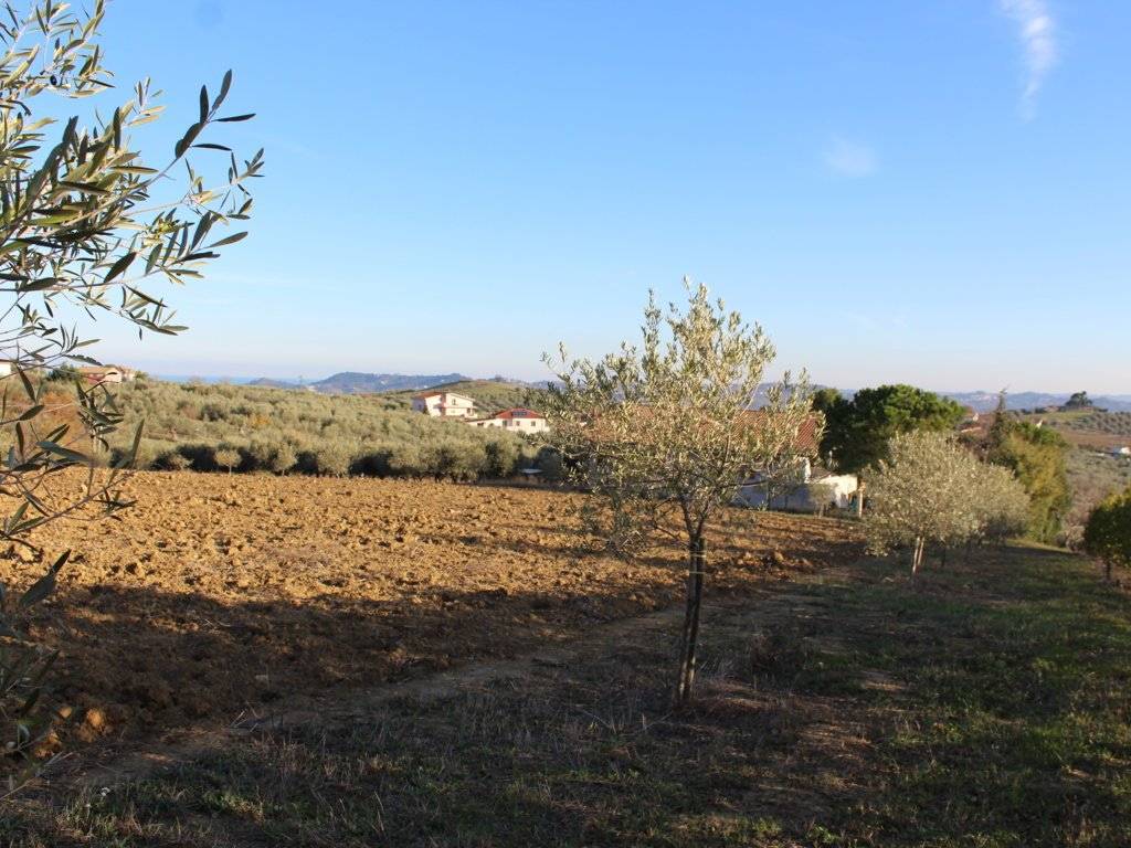 Terreno a Città sant'angelo in Strada Giardino, 33 - Foto 5