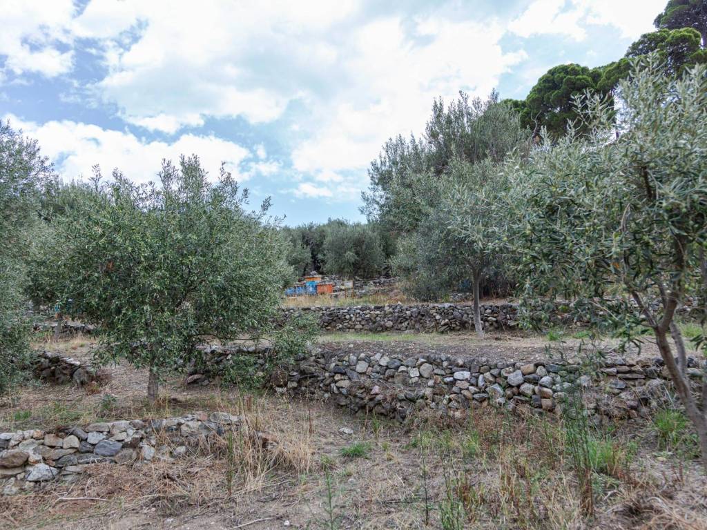 Villa a Messina in Contrada Ortera in Santa Margherita - Foto 2
