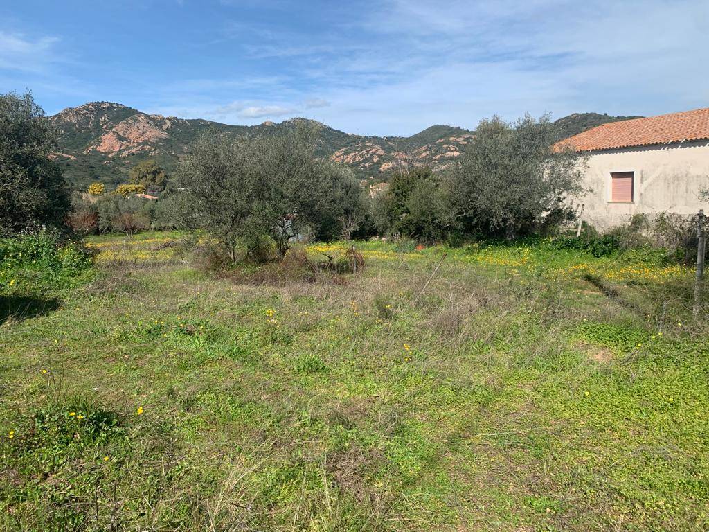 Terreno a Loiri porto san paolo in Viale Santu Micali - Foto 5