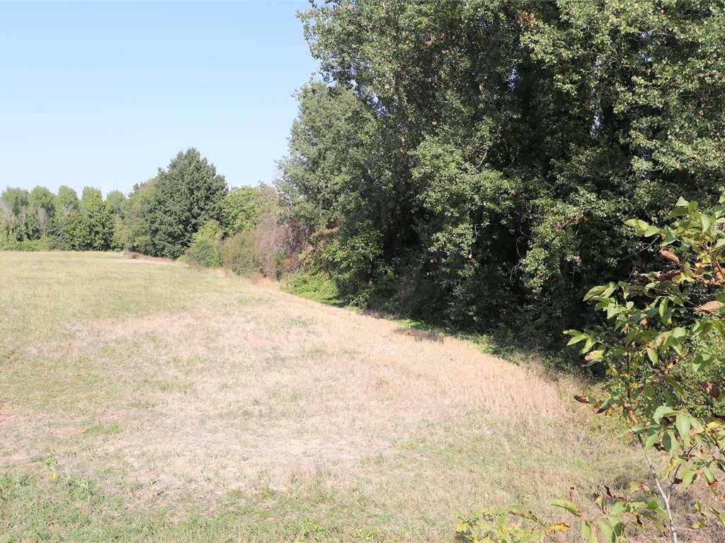 Terreno a Mantova - Foto 3