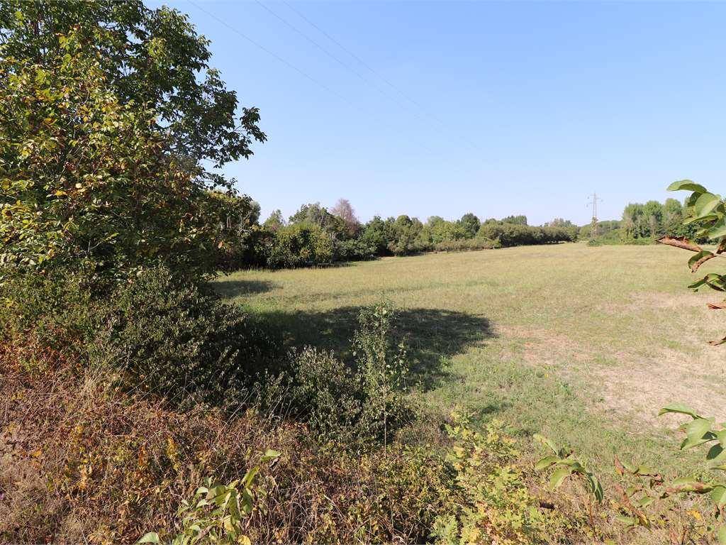 Terreno a Mantova - Foto 5