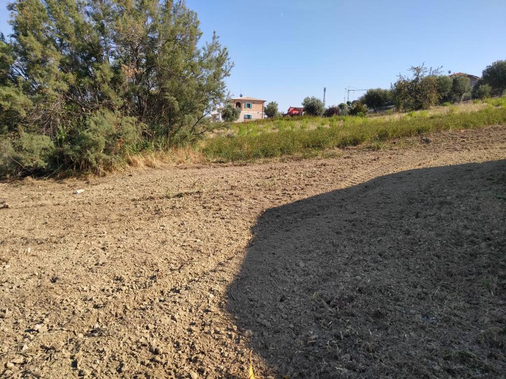 Terreno a Tortoreto in Via Muracche 1 - Foto 3