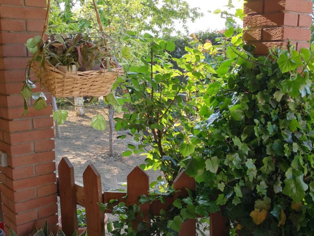 Villa a Alessandria - Foto 4