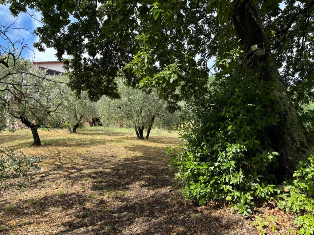 Villa a Quarrata - Foto 4