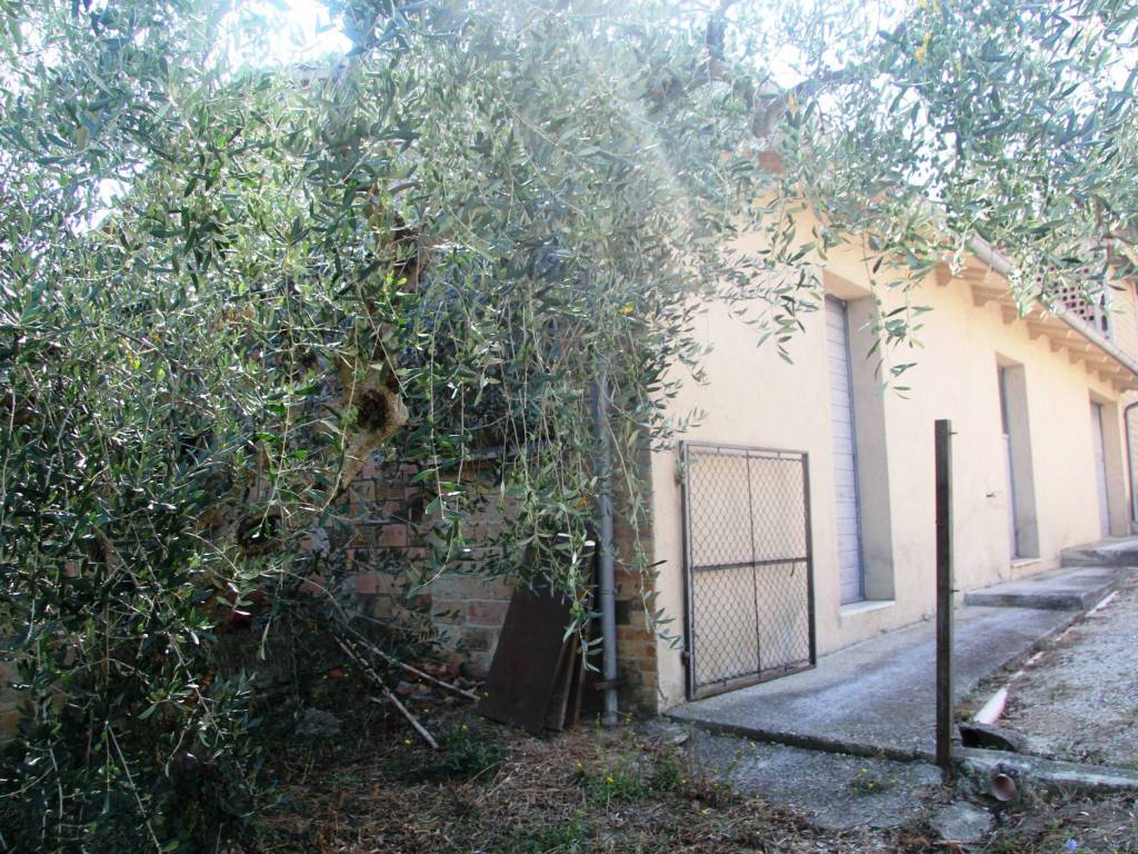 Rustico / casale a Montefalco in Montefalco - Foto 3