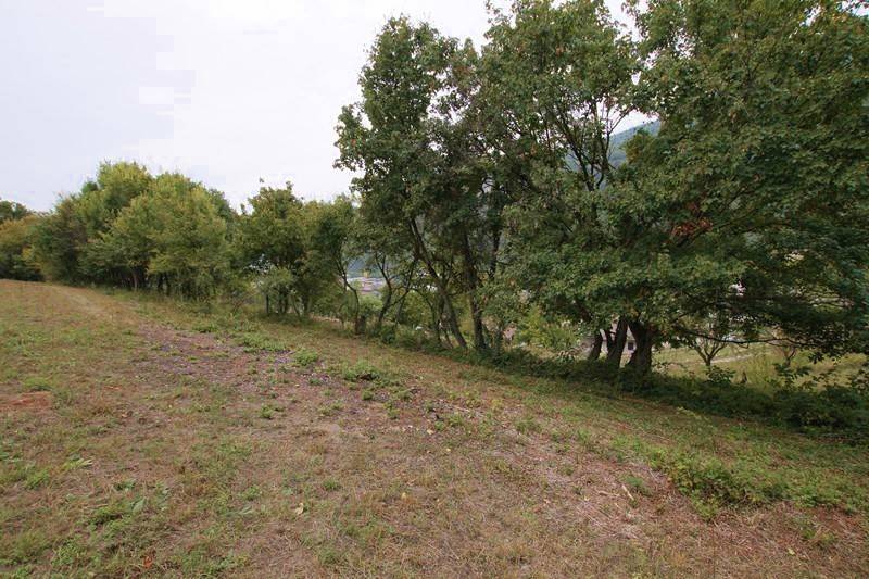 Terreno a Grezzana in Via Crosara di Lugo - Foto 5