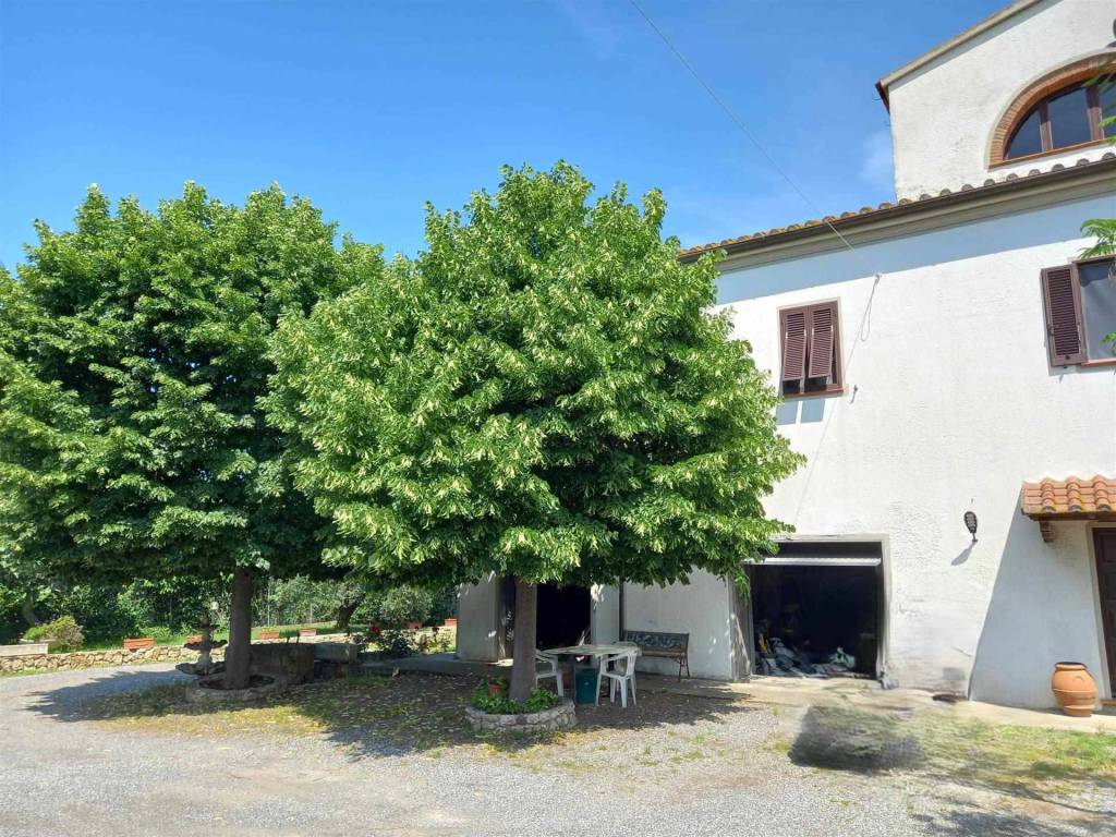Rustico / casale a Rosignano marittimo - Foto 5