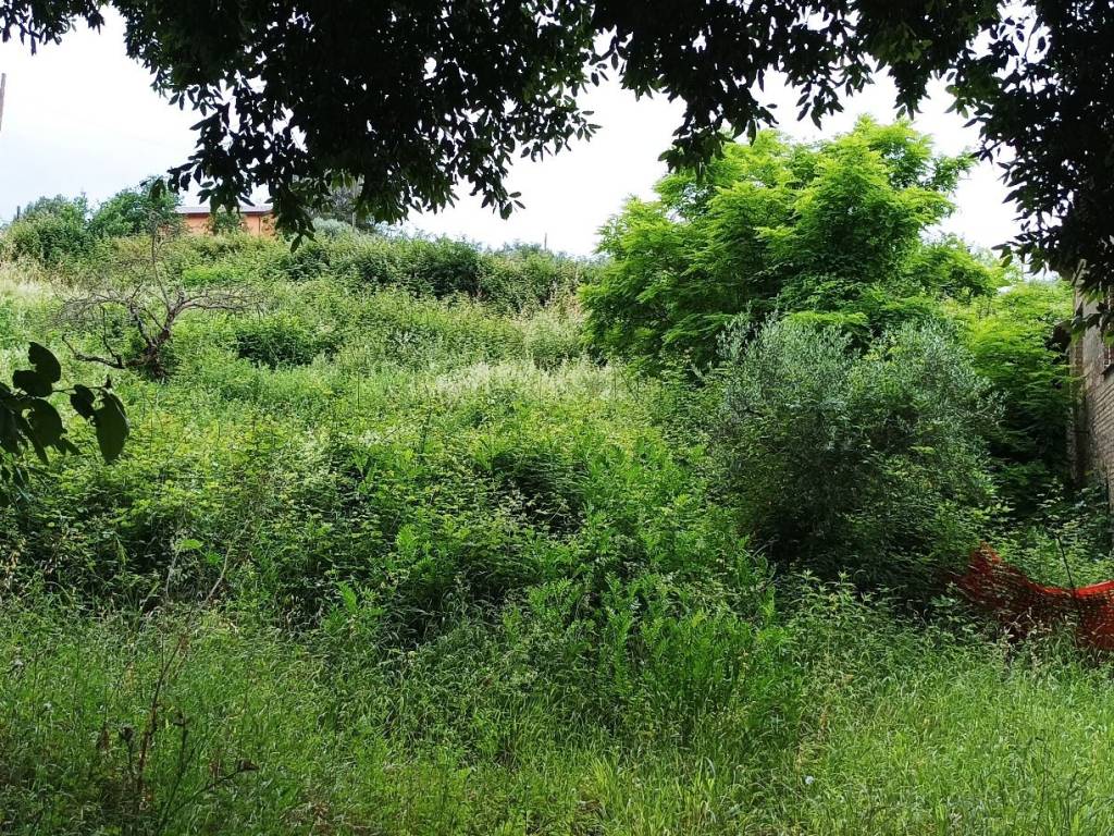 Rustico / casale a Bettona in Via Sambro - Foto 4