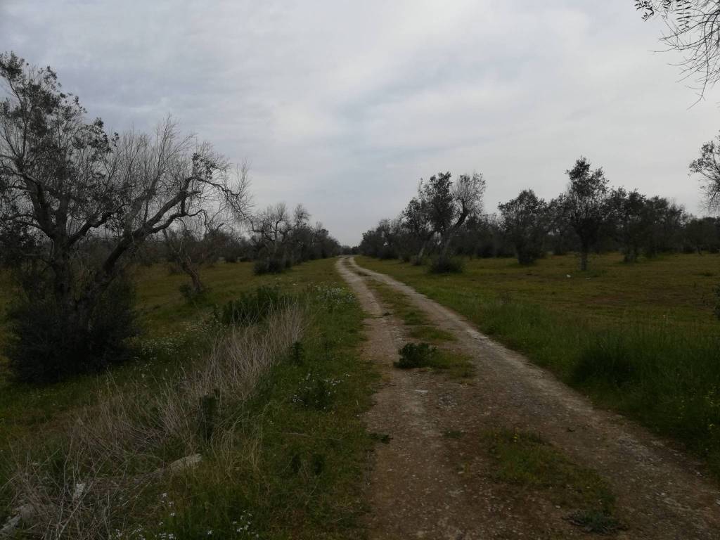 Terreno a Vernole - Foto 2