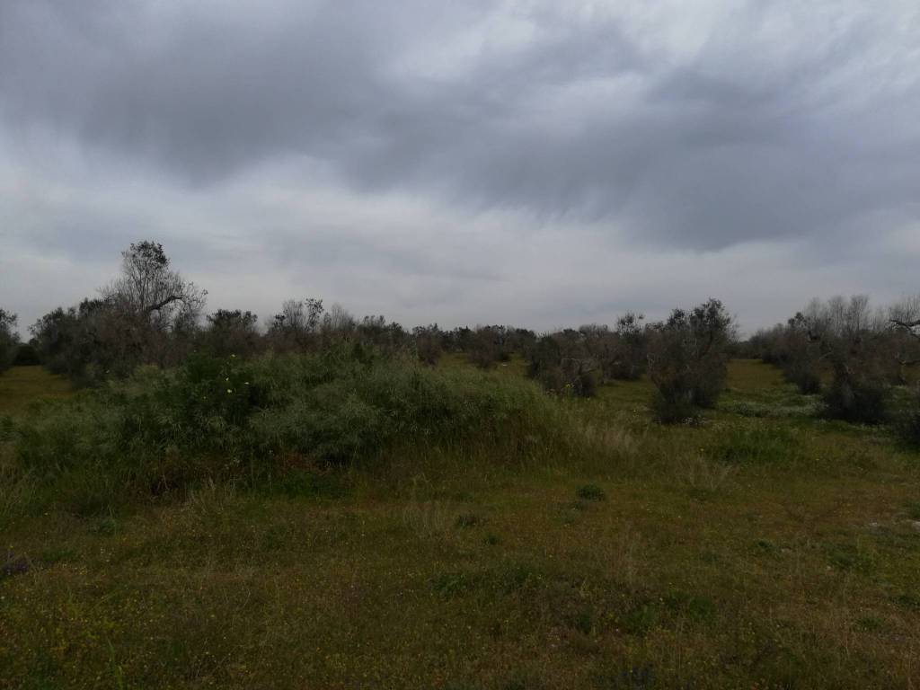 Terreno a Vernole - Foto 4