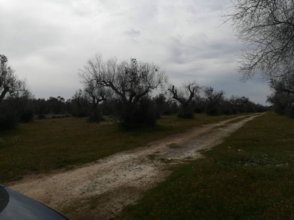 Terreno a Vernole - Foto 5