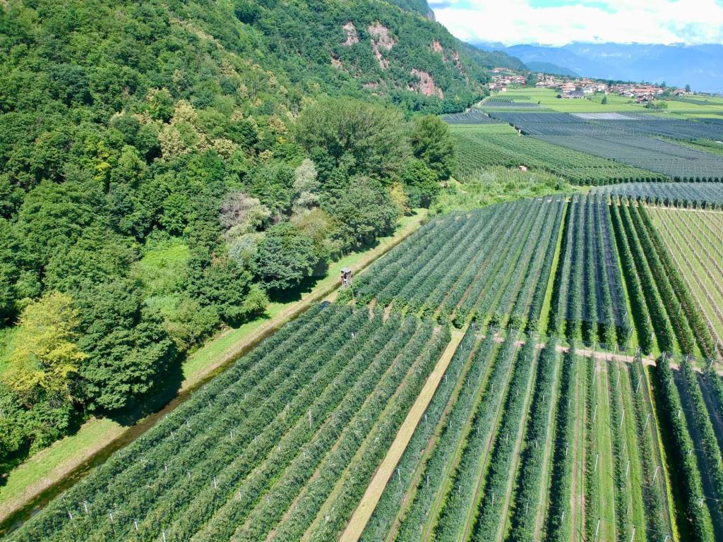 Terreno a Appiano sulla strada del vino in SP54 - Foto 2