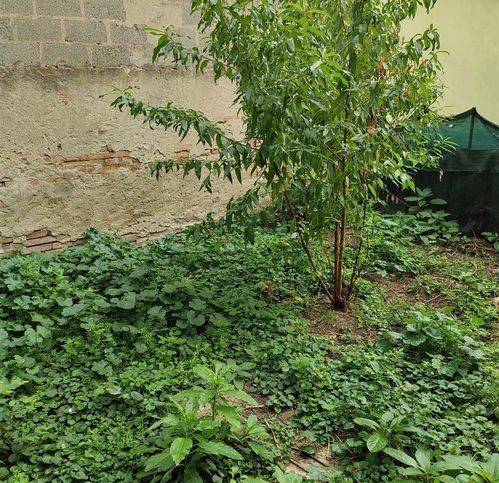 Appartamento a Castelnuovo bocca d'adda - Foto 2