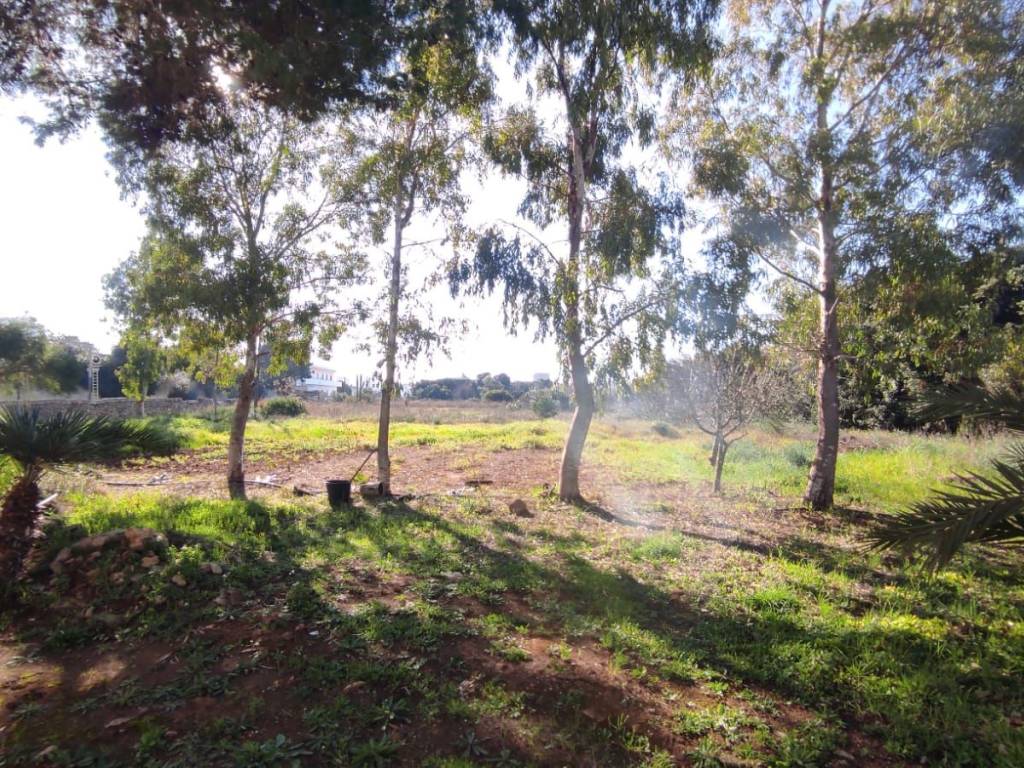 Terreno a Taviano in Via Giorgio Stephenson - Foto 5