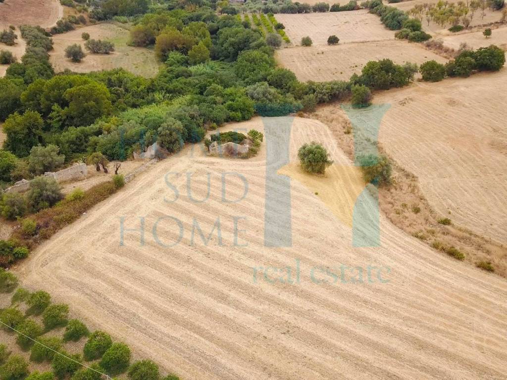 Rustico / casale a Noto in Via Tommaso Fazello, 228 - Foto 3