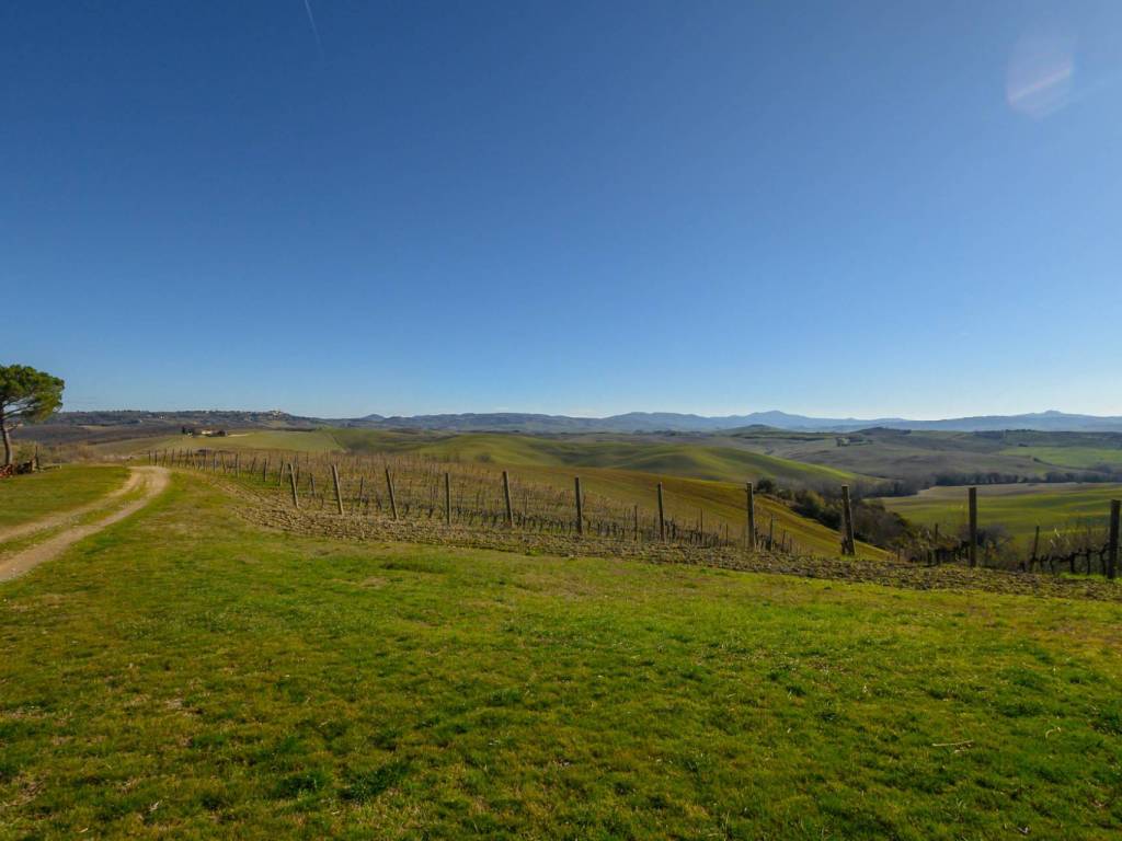 Rustico / casale a Castelnuovo berardenga in via dell'ortaccio - Foto 2