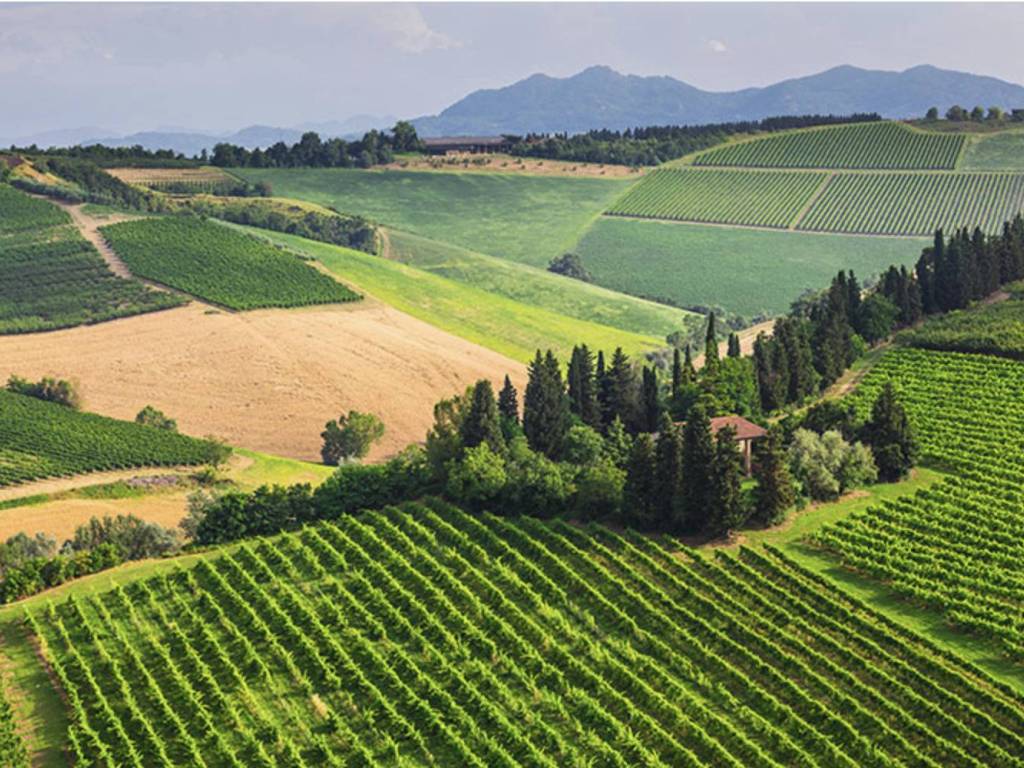 Rustico / casale a Castelnuovo berardenga in via dell'ortaccio - Foto 3