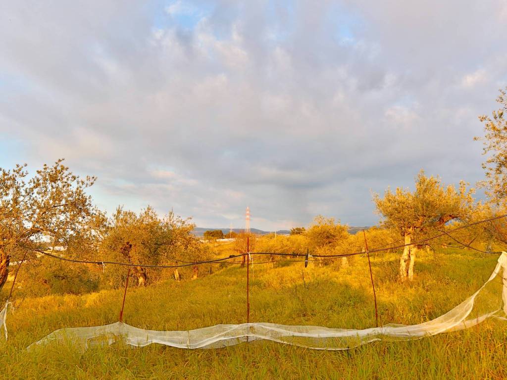 Villa a Chiaramonte gulfi in Contrada Gerardo - Foto 5