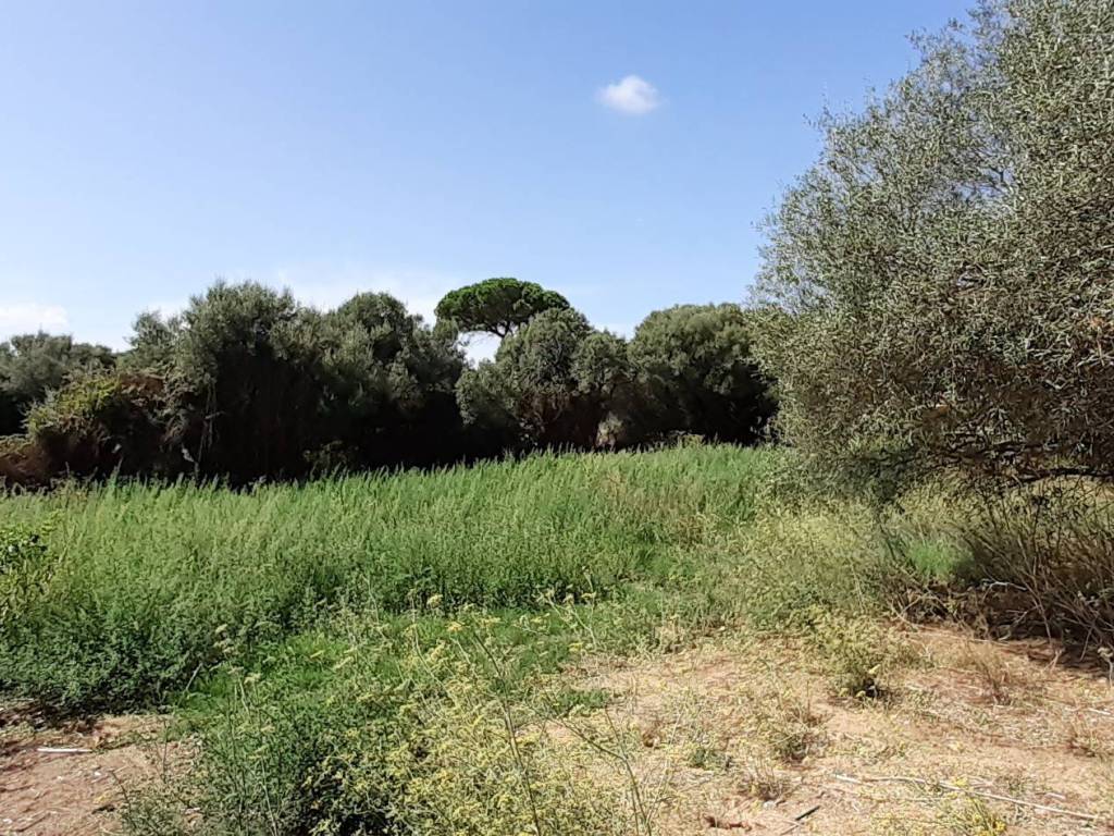 Terreno a Arzachena in Via Emilio Lussu, 4 - Foto 3