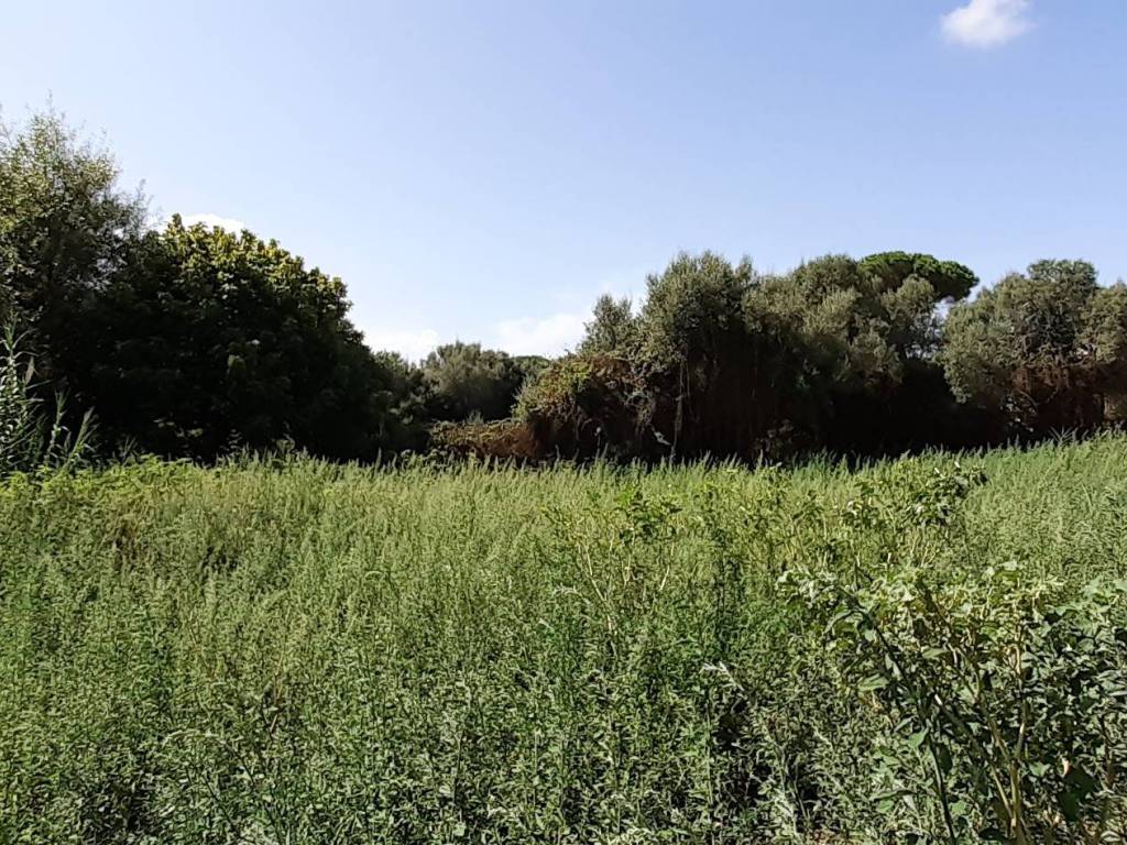 Terreno a Arzachena in Via Emilio Lussu, 4 - Foto 5