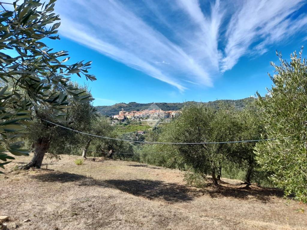 Terreno a Diano san pietro in via poggio - Foto 4
