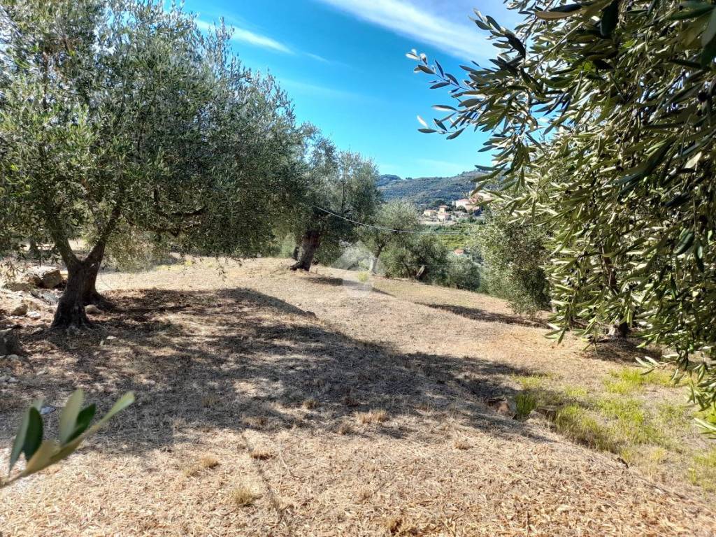Terreno a Diano san pietro in via poggio - Foto 5