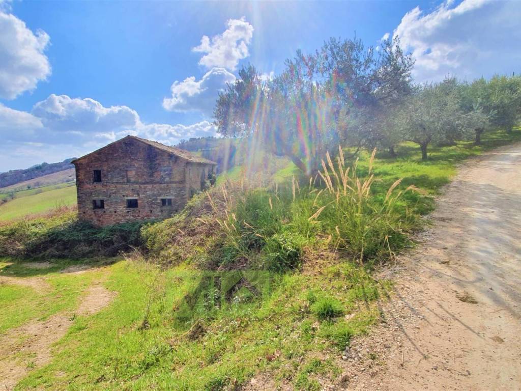 Rustico / casale a Castignano in loc. Ripaberarda - Foto 2
