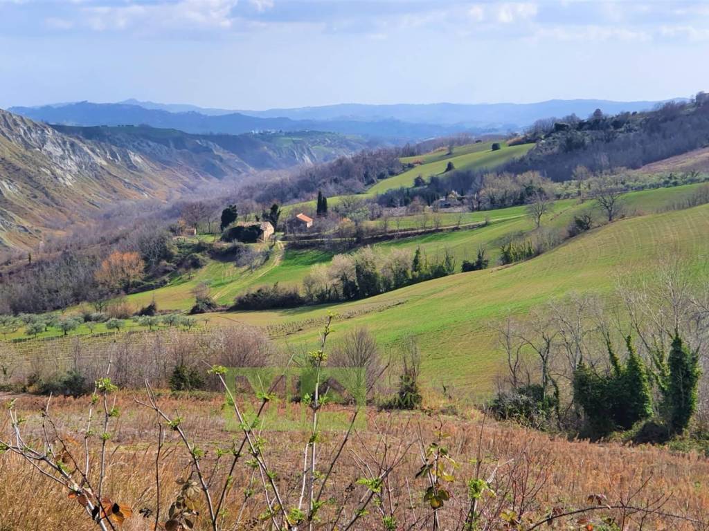 Rustico / casale a Castignano in loc. Ripaberarda - Foto 3