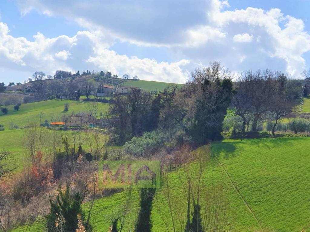 Rustico / casale a Castignano in loc. Ripaberarda - Foto 5