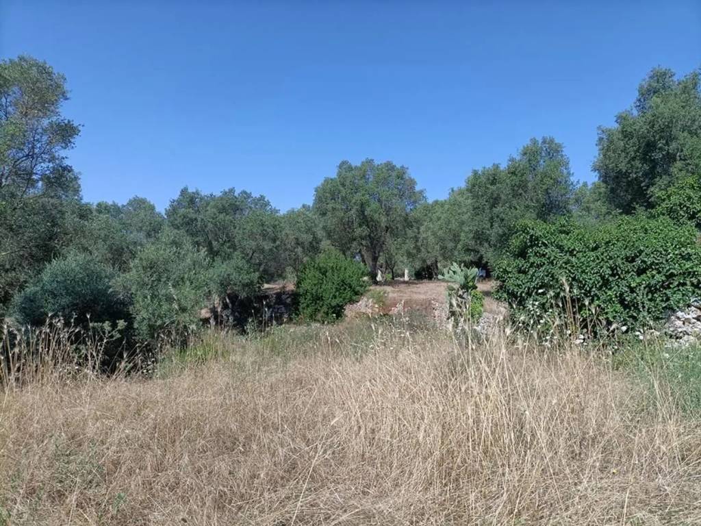 Rustico / casale a Ceglie messapica in Contrada Fedele Grande S.N.C. - Foto 4