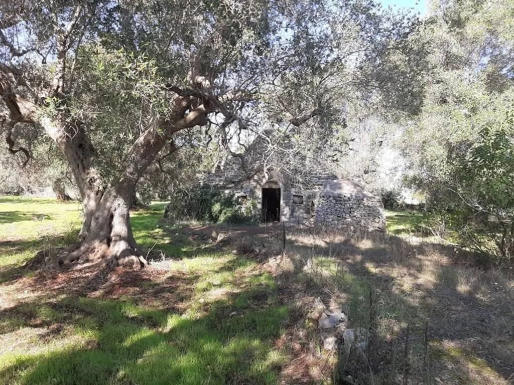 Rustico / casale a Ceglie messapica in Contrada Votano Russo S.N.C. - Foto 2