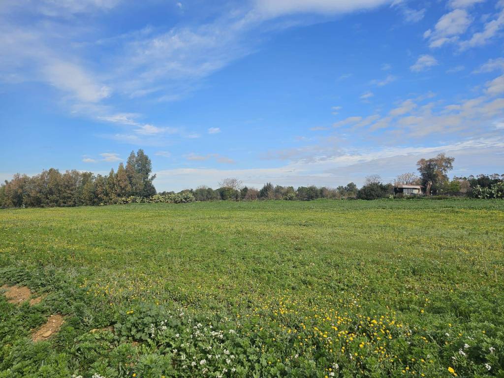Terreno a Sestu in Località Corropu De Cadeddu - Foto 3