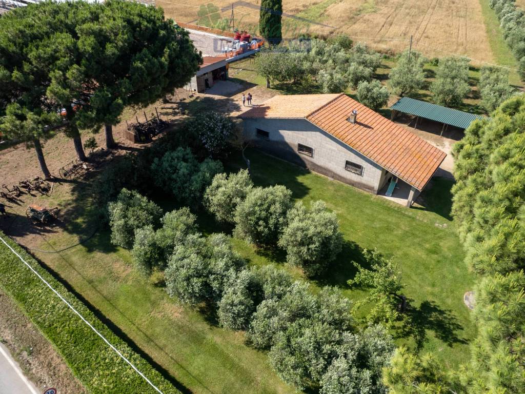 Rustico / casale a Capalbio in Strada Origlio - Foto 4