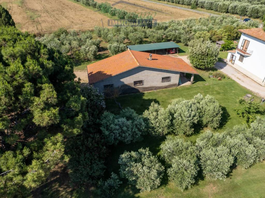 Rustico / casale a Capalbio in Strada Origlio - Foto 5