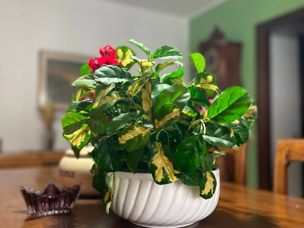 Appartamento a Riva del garda in Viale dei Tigli - Foto 4