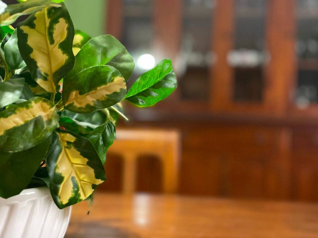 Appartamento a Riva del garda in Viale dei Tigli - Foto 5