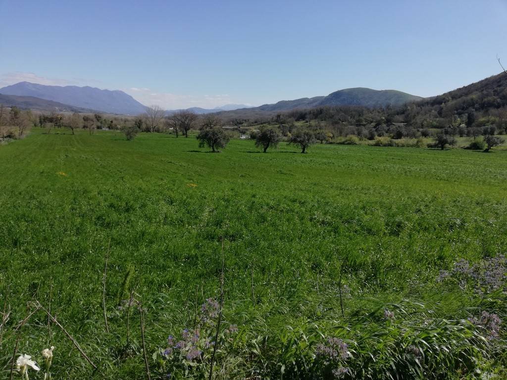 Terreno a Caiazzo in Strada Provinciale Villanova Cesarano - Foto 3