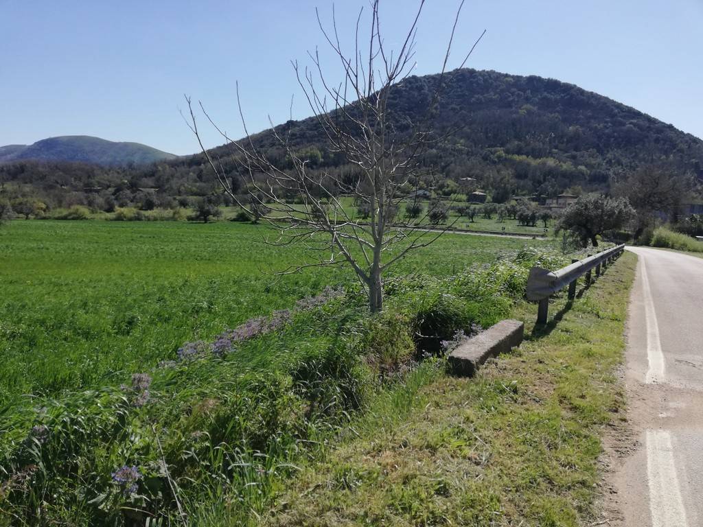 Terreno a Caiazzo in Strada Provinciale Villanova Cesarano - Foto 4