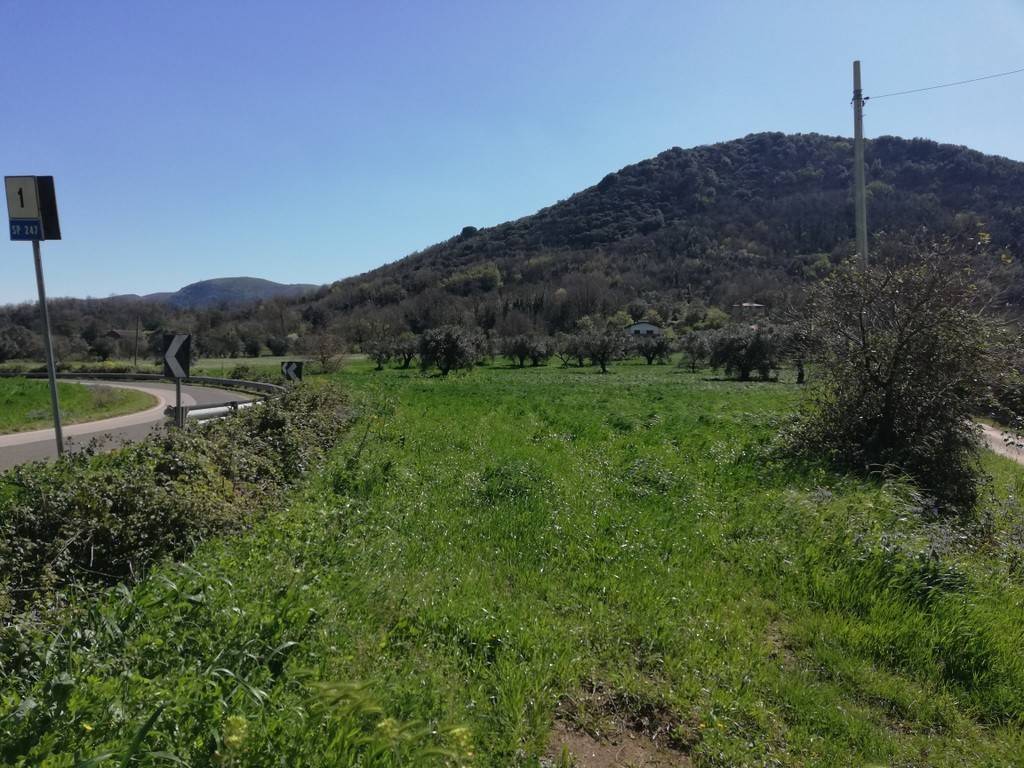 Terreno a Caiazzo in Strada Provinciale Villanova Cesarano - Foto 3