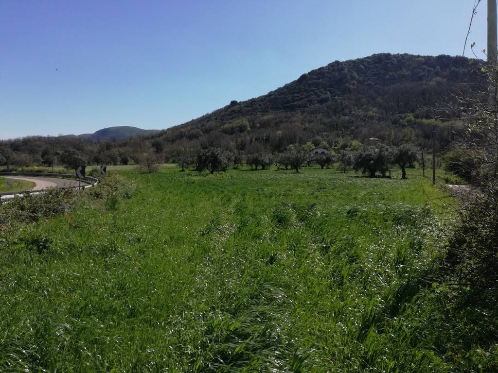 Terreno a Caiazzo in Strada Provinciale Villanova Cesarano - Foto 4