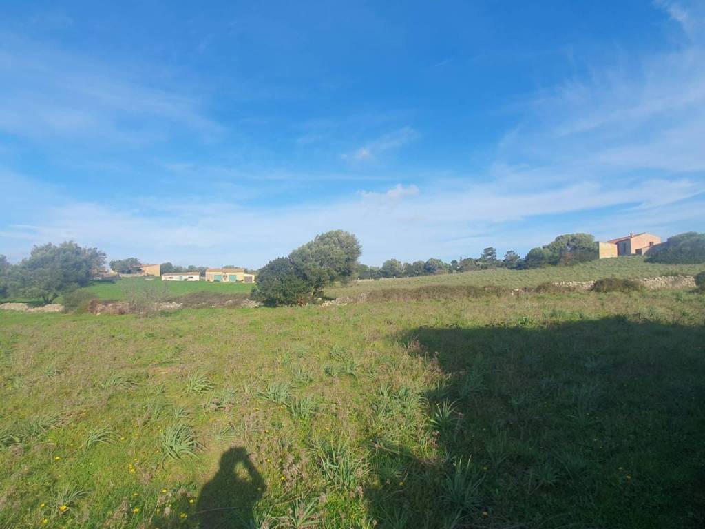 Rustico / casale a Luogosanto in Luogosanto - Foto 3