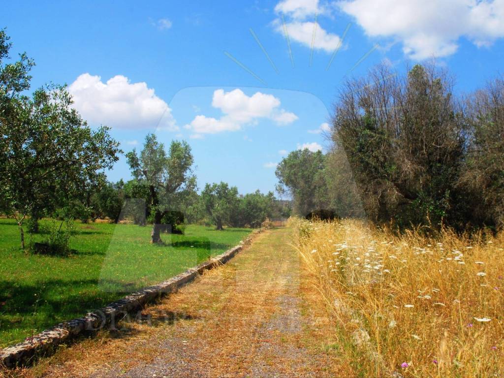 Rustico / casale a Tiggiano in Strada Vicinale Tagliate - Foto 2