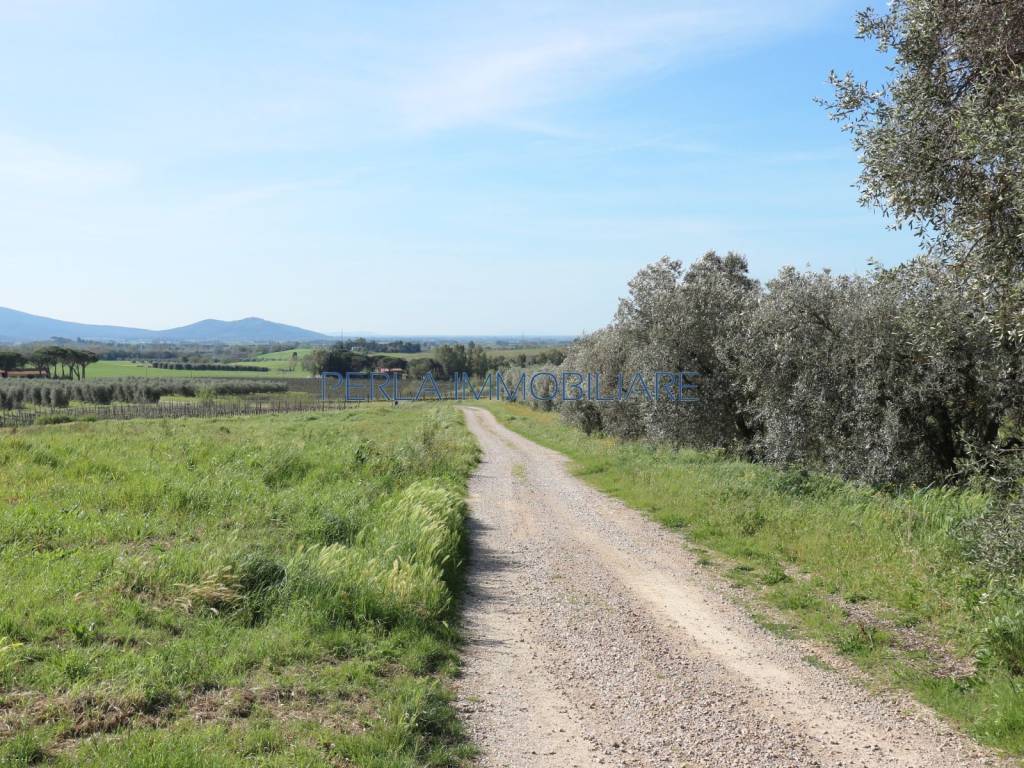 Rustico / casale a Roccastrada in Strada Provinciale di Montemassi - Foto 3