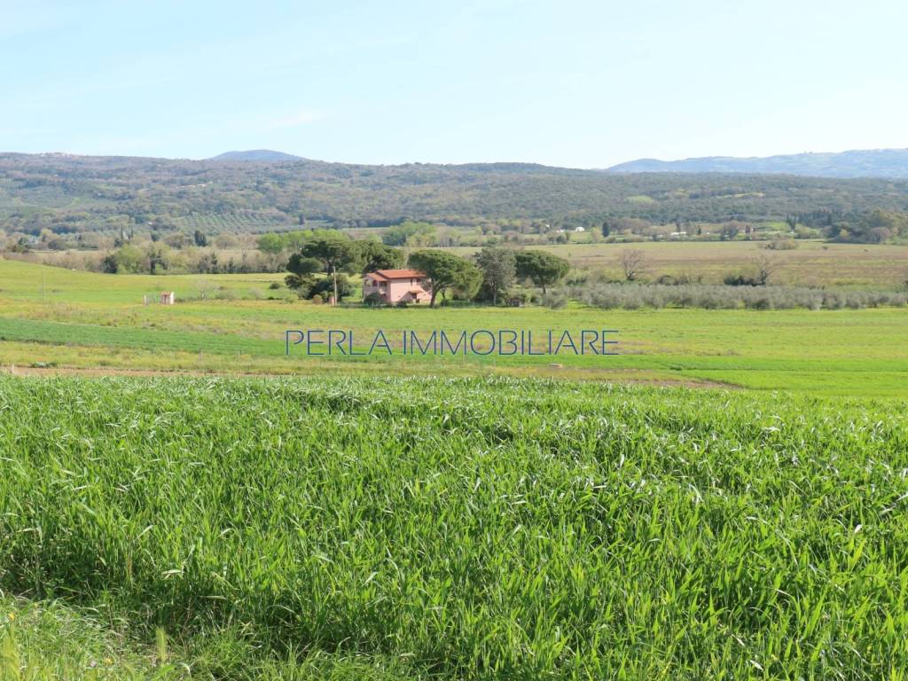 Rustico / casale a Roccastrada in Strada Provinciale di Montemassi - Foto 4